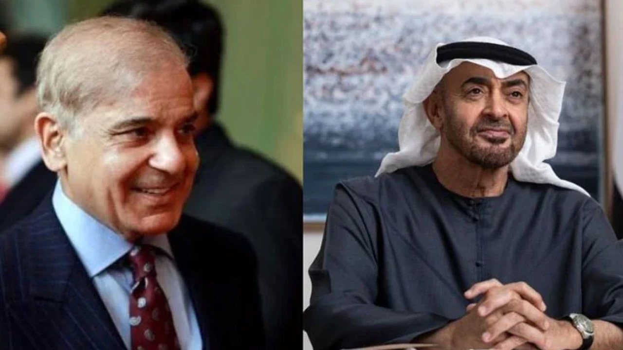 PM Shehbaz contacts UAE president 