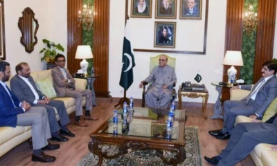 MQM delegation meets President Asif Ali Zardari