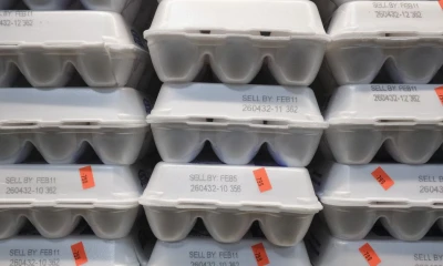 Why we keep seeing egg prices spike