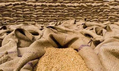وفاقی حکومت کا  کسانوں سے 18 لاکھ ٹن گندم خریدنے کا فیصلہ