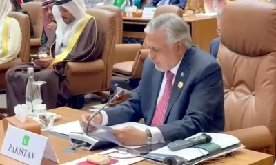 Ishaq Dar expresses Pakistan’s support for Palestine’s admission as UN’s full member
