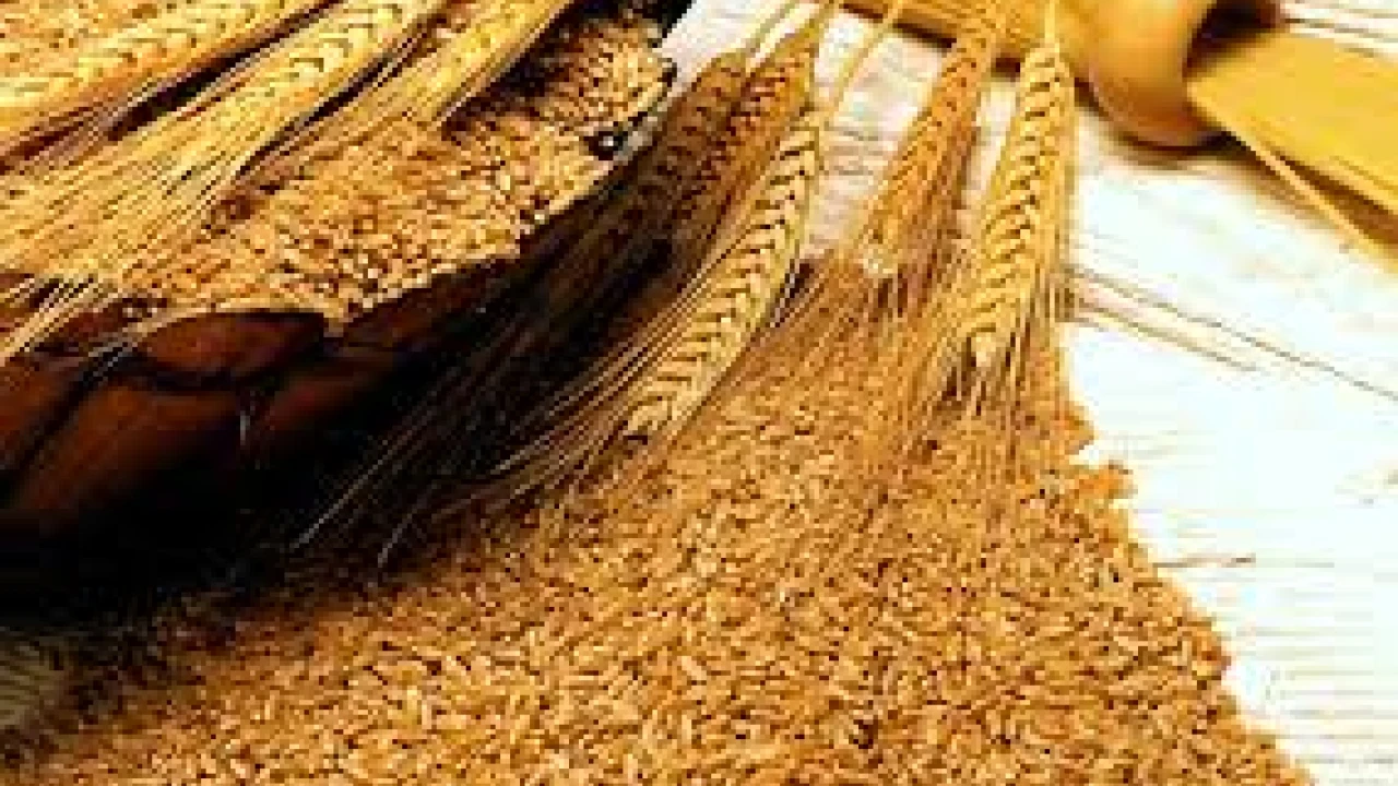 Nayyar Bukhari demands NAB investigation into wheat import scandal