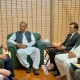 PTI won't tolerate interference in Pakistan's internal affairs, Omar tells Blome
