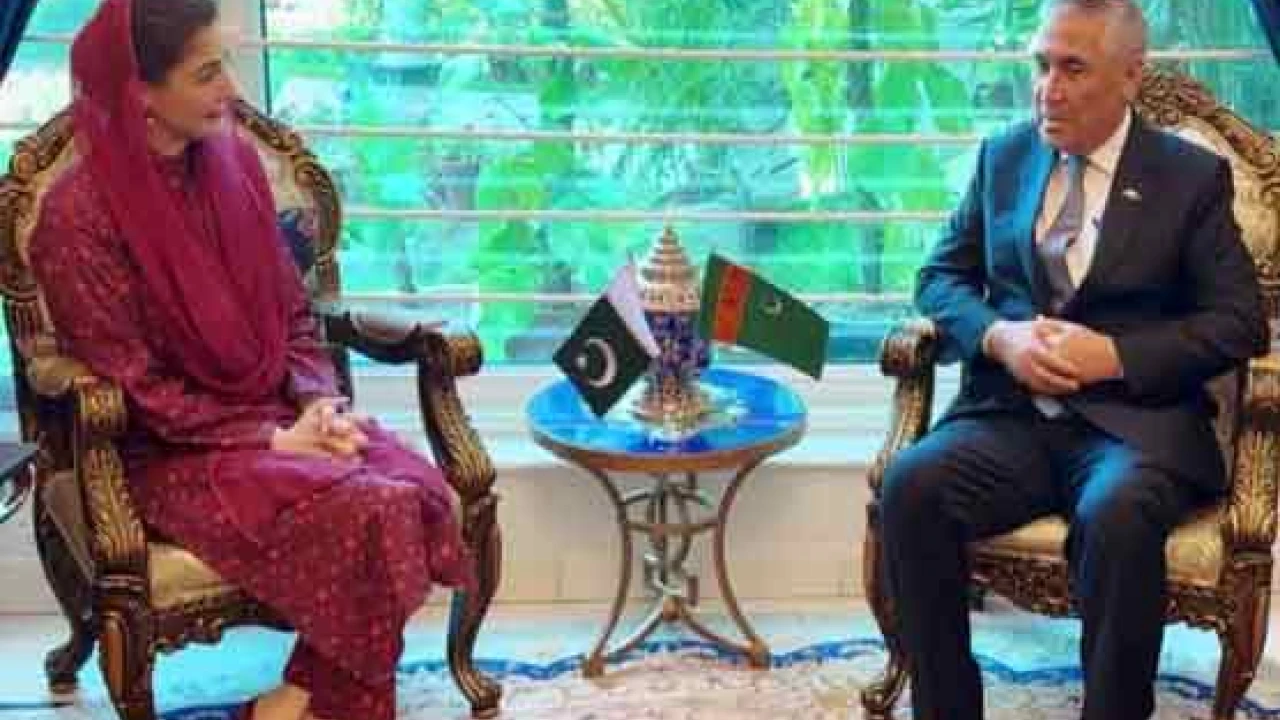 CM Punjab, Turkmenistan ambassador agree on mutual cooperation