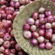 Import of Indian onion reduces price by 50pc 