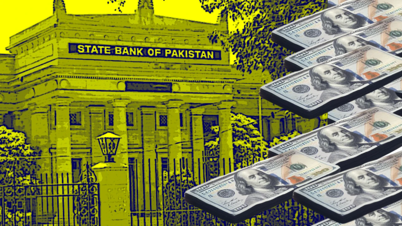 Pakistan's forex reserves swell over $9bn on IMF inflow