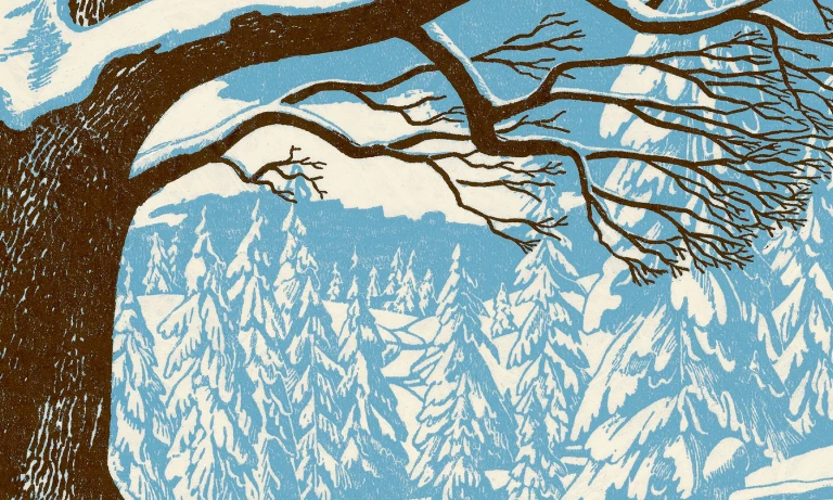 Mastering Winter: A Guide to Training Yourself to Enjoy the Cold Season