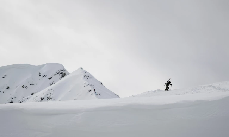 Winter Sport of Skijoring Gains Momentum with New Technology and Events