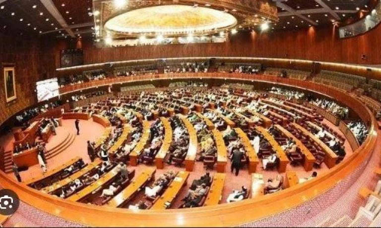 Senate Passes Resolution Rejecting Israeli Statement, Reaffirms Support for Palestine