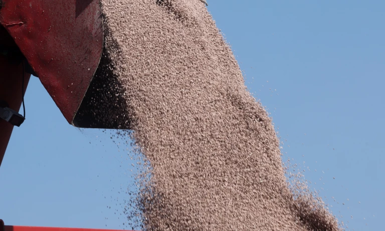 Strait of Hormuz Crisis Threatens Global Food Supply Beyond Oil Prices