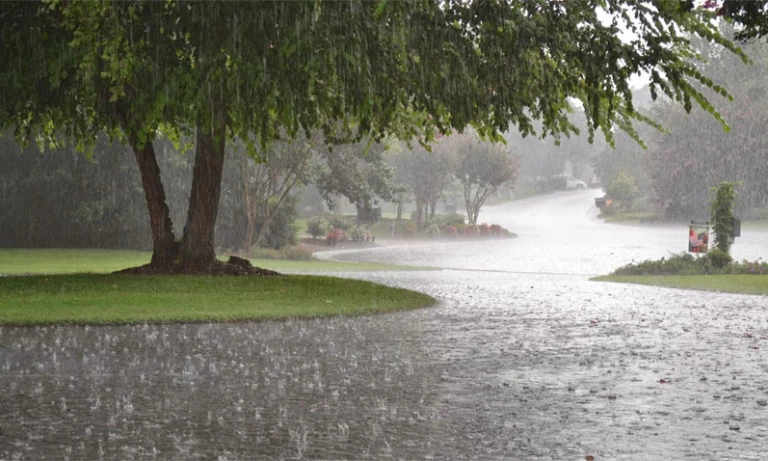 PMD Predicts Week-Long Rain Spell for Karachi and Lahore Starting Tomorrow