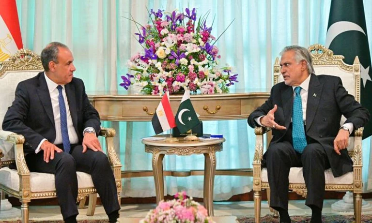 Ishaq Dar and Egyptian FM Discuss Middle East, Urge De-escalation and Diplomacy