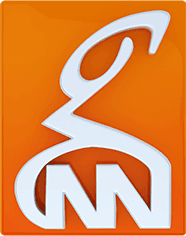 GNN