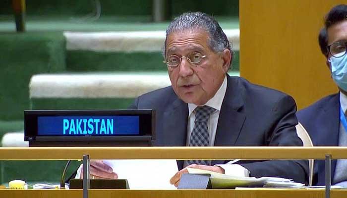 Pakistan hails UNSC’s Gaza ceasefire resolution, urges its implementation