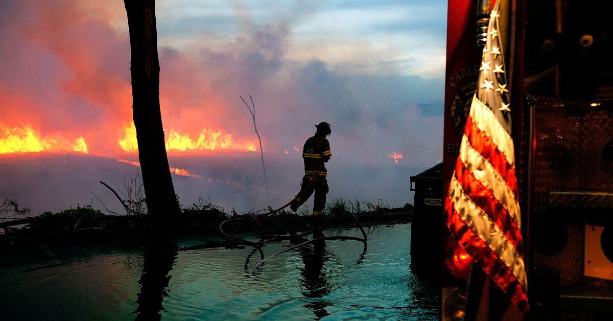 Yes, even most temperate landscapes in the US can and will burn