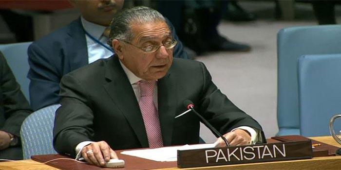 پاکستا ن کو 2030 تک  مختلف قسم کے مسائل  سے نمٹنا  ہو گا ، پاکستانی مندوب