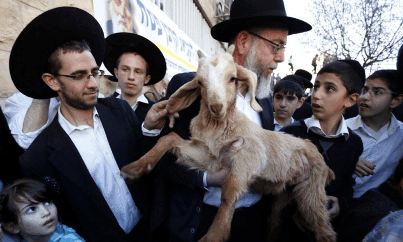 Zionists' attempt to sacrifice animals in Al-Aqsa Mosque failed