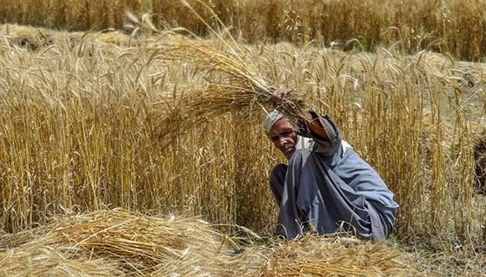 Punjab govt fails to fix proposals on subsidy to small farmers