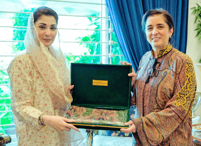 CM Maryam meets WHO Regional Director Dr Hanan Balkhy