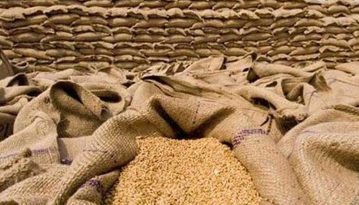 وفاقی حکومت کا  کسانوں سے 18 لاکھ ٹن گندم خریدنے کا فیصلہ