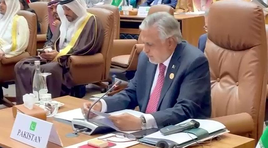 Ishaq Dar expresses Pakistan’s support for Palestine’s admission as UN’s full member