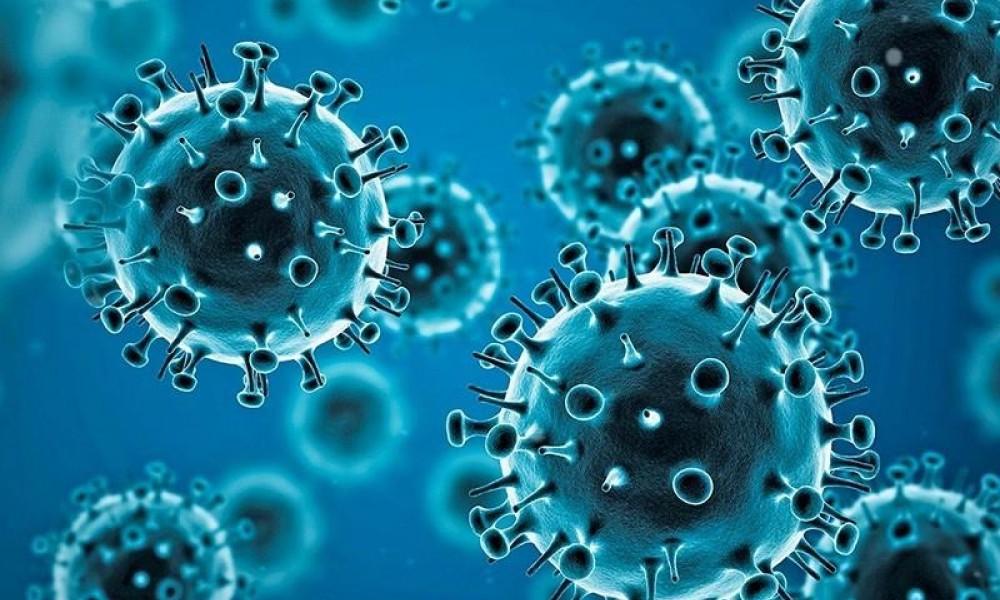 Pakistan sees spike in coronavirus as 370 cases reported in 24 hours