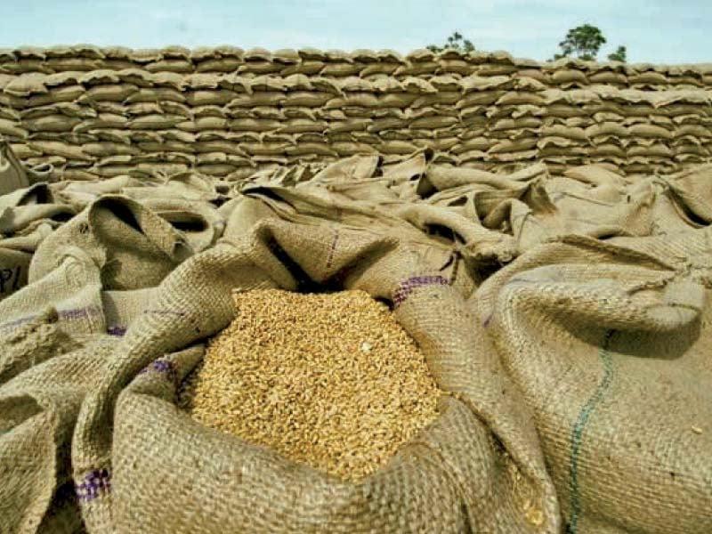 KP govt kicks off buying wheat from farmers