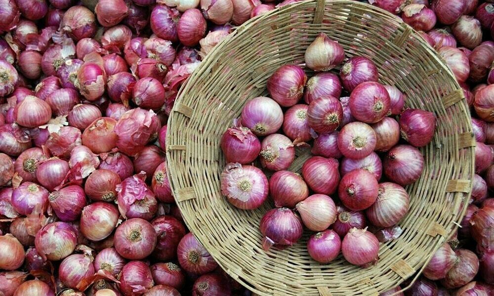 Import of Indian onion reduces price by 50pc 