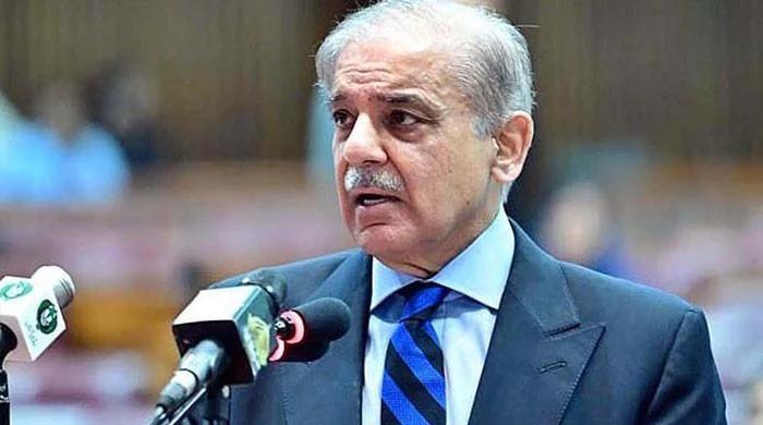 پاکستان اور سعودی عرب امن اور خوشحالی میں شراکت دار ہیں، وزیراعظم