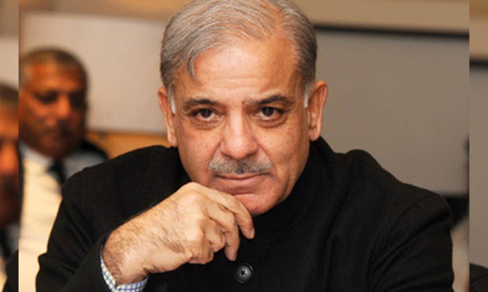 Shehbaz nominated acting president of PML-N