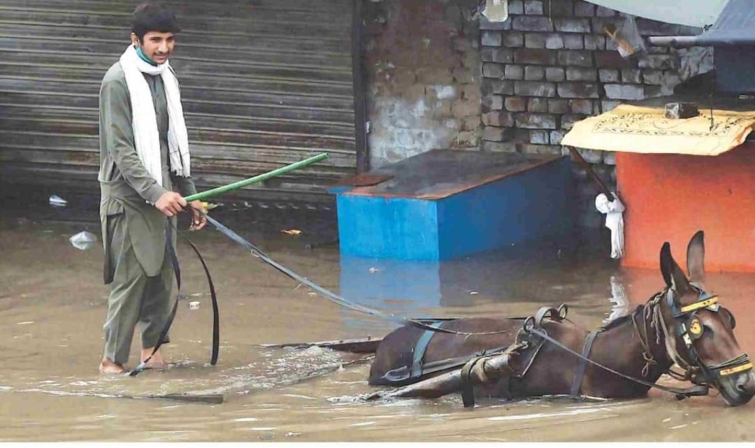 How Pakistan became Aunt Sally!