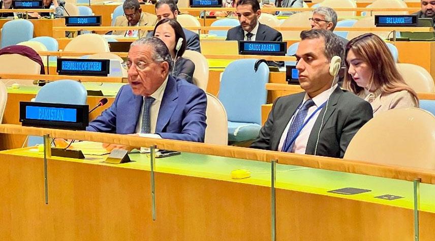 Pakistan affirms support of OIC for Bosnia & Herzegovina's unity