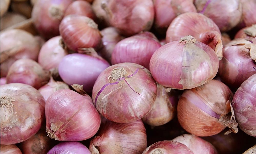 Onion export from Pakistan exceeds $210mn