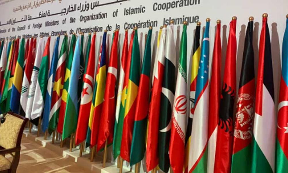 OIC FMs conference: Foreign delegations including OIC's Secretary General continue to arrive in Pakistan