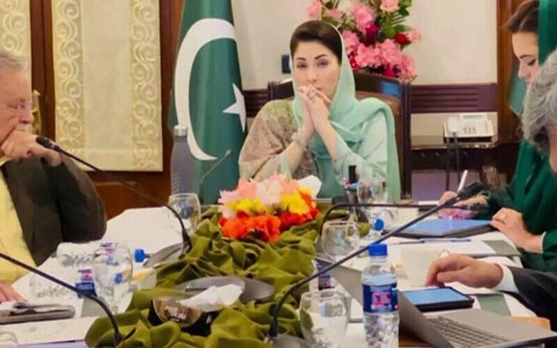وزیراعلیٰ پنجاب مریم نواز سے اقوام متحدہ کے 22 رکنی وفد کی ملاقات