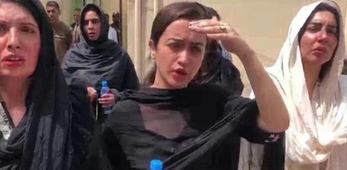 صنم جا وید رہائی کے بعد دوبارہ گرفتار