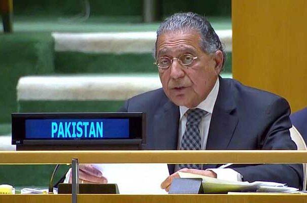 Pakistan wins non-permanent seat on UN Security Council with big majority in UNGA vote