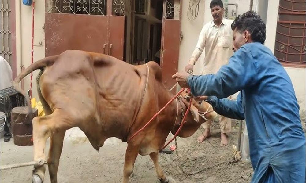 Butchers issue rates for sacrifice on Eid-ul-Adha 2024