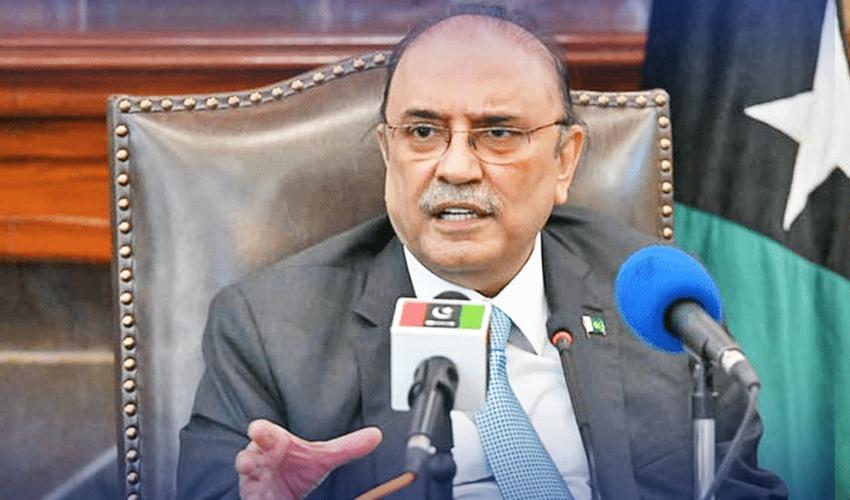 President Zardari forms 13-member National Economic Council