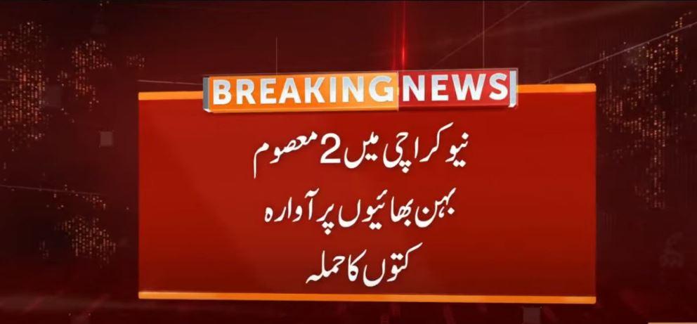 نیو کراچی میں دو معصوم بہن بھائیوں پر آوارہ کتوں کا حملہ