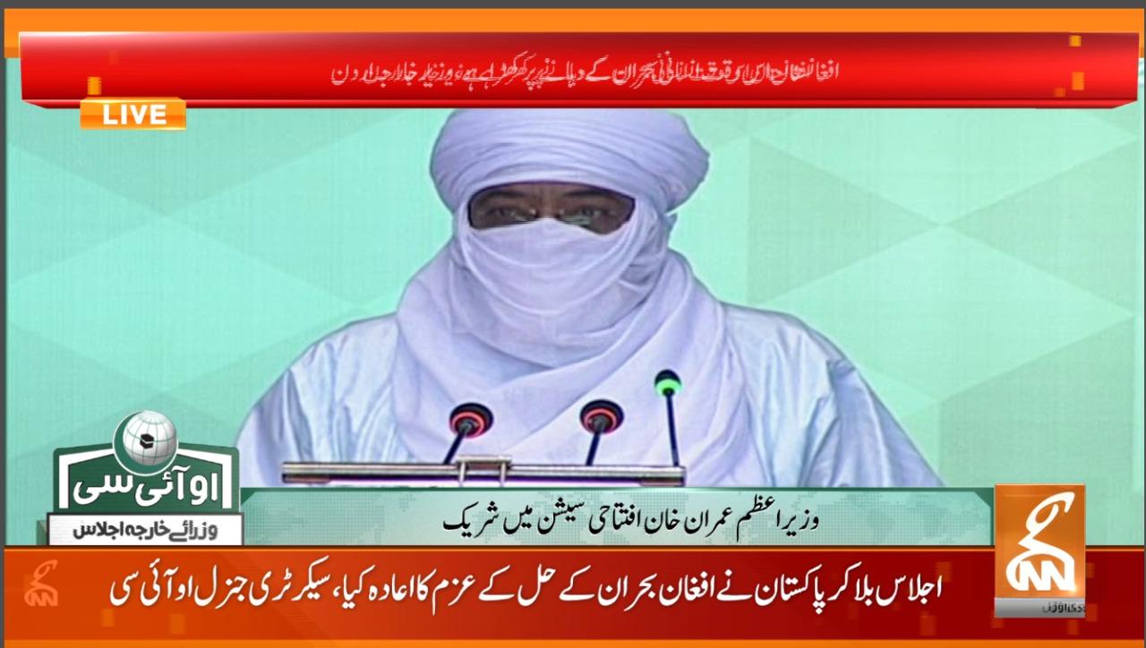 افغانستان کےعوام کی ہرممکن مدد کی جانی چاہیے: نائیجر وزیر خارجہ