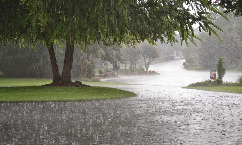 Rain likely in East Punjab, Potohar, Upper KP