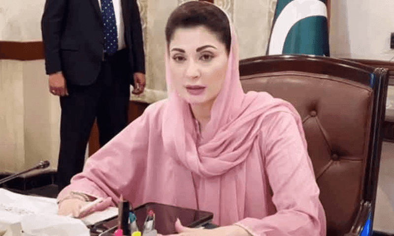 تنقید کی پروا نہیں، غلط الزام لگانے پر سزا ملے گی، مریم نواز