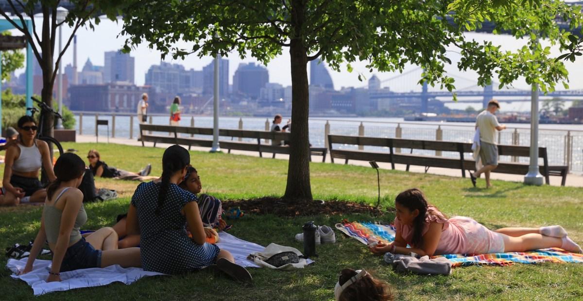 What American cities could do right now to save us from this unbearable heat