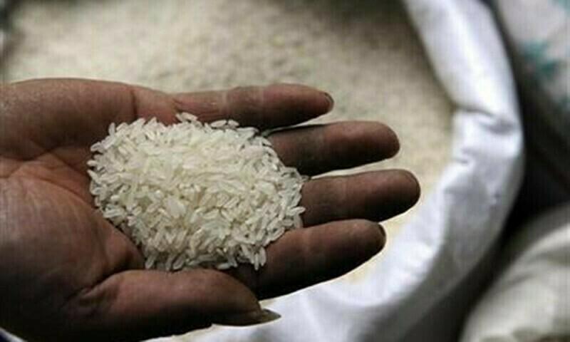 India plans to ease rice export curbs to retain market share against Pakistan