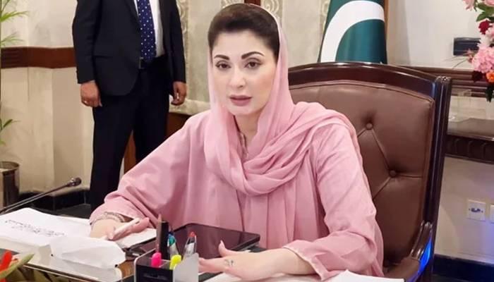 مریم نوا ز کا ہیپاٹائٹس بی اور سی کے مریضوں میں تیزی سے اضافے پرتشویش کااظہار