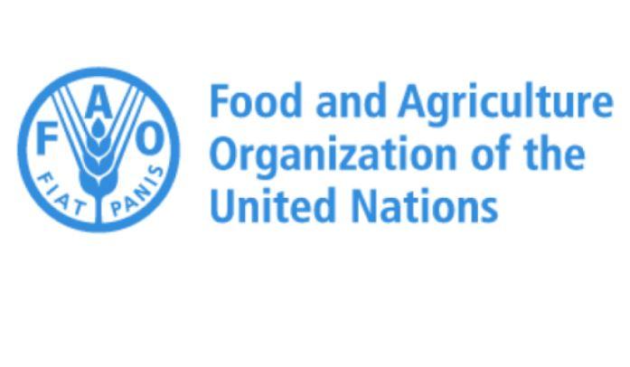 FAO kicks off digitisation of agriculture sector 