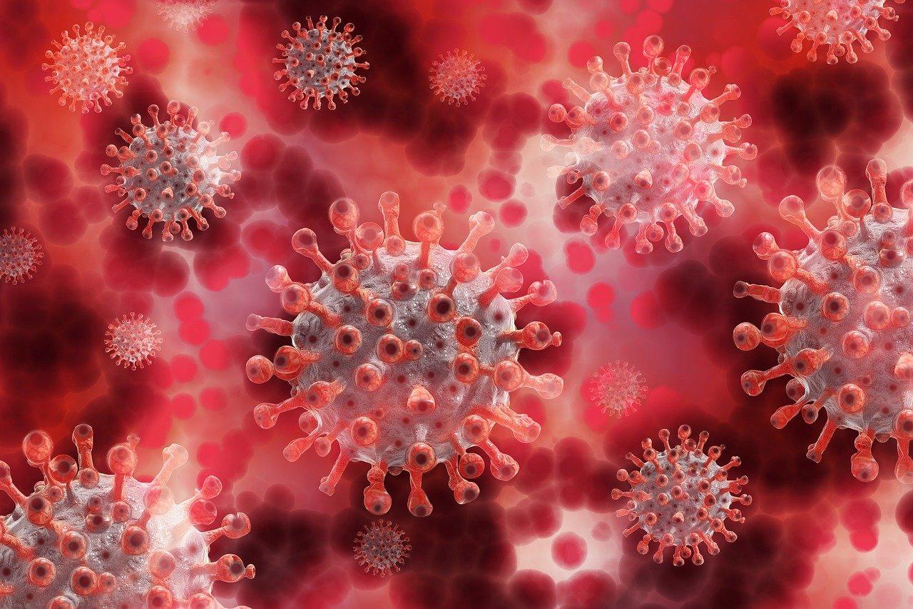 Pakistan reports 353 coronavirus cases in last 24 hours