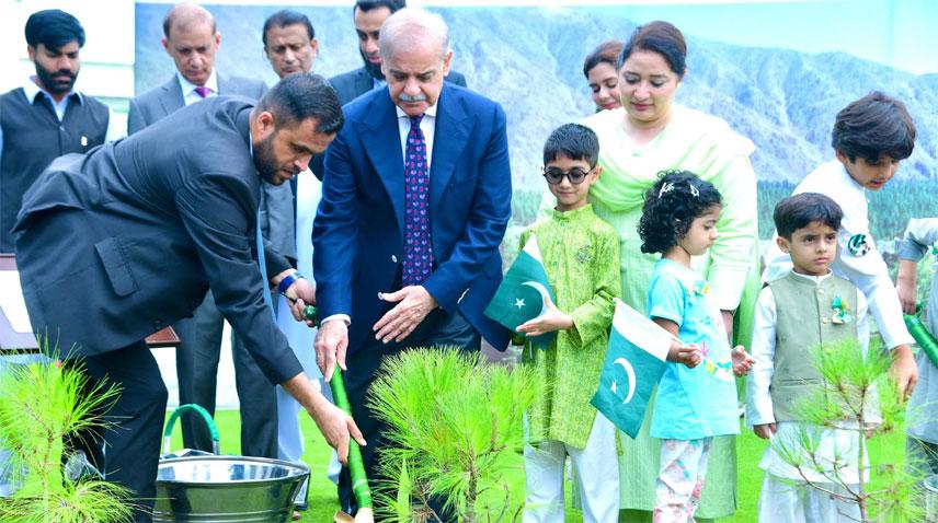 PM launches monsoon tree plantation