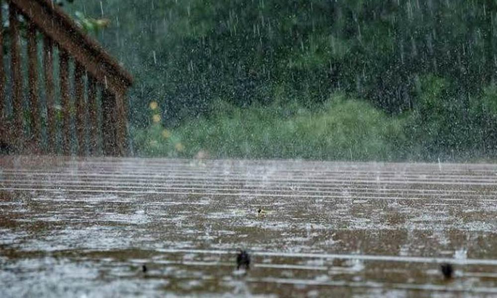 Monsoon rains expected in Punjab in 24 hours